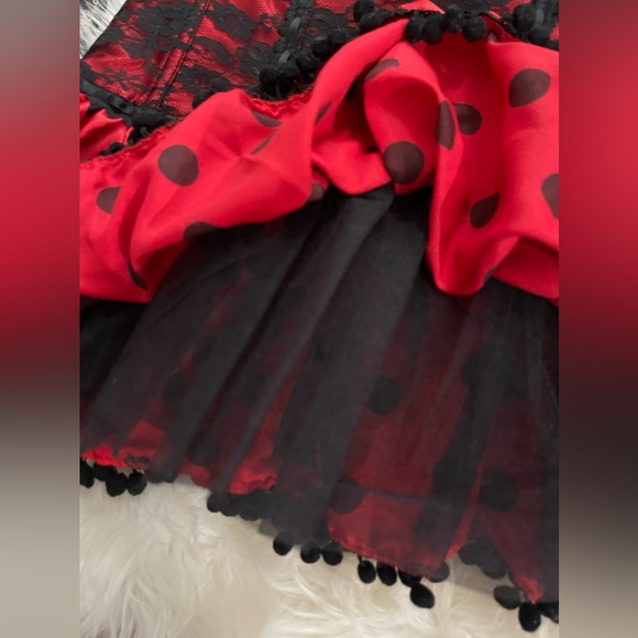 S Vs Victoria's secret
SEXY LITTLE THINGS Fantasies Collection
Senorita Costume - Picture 14 of 14